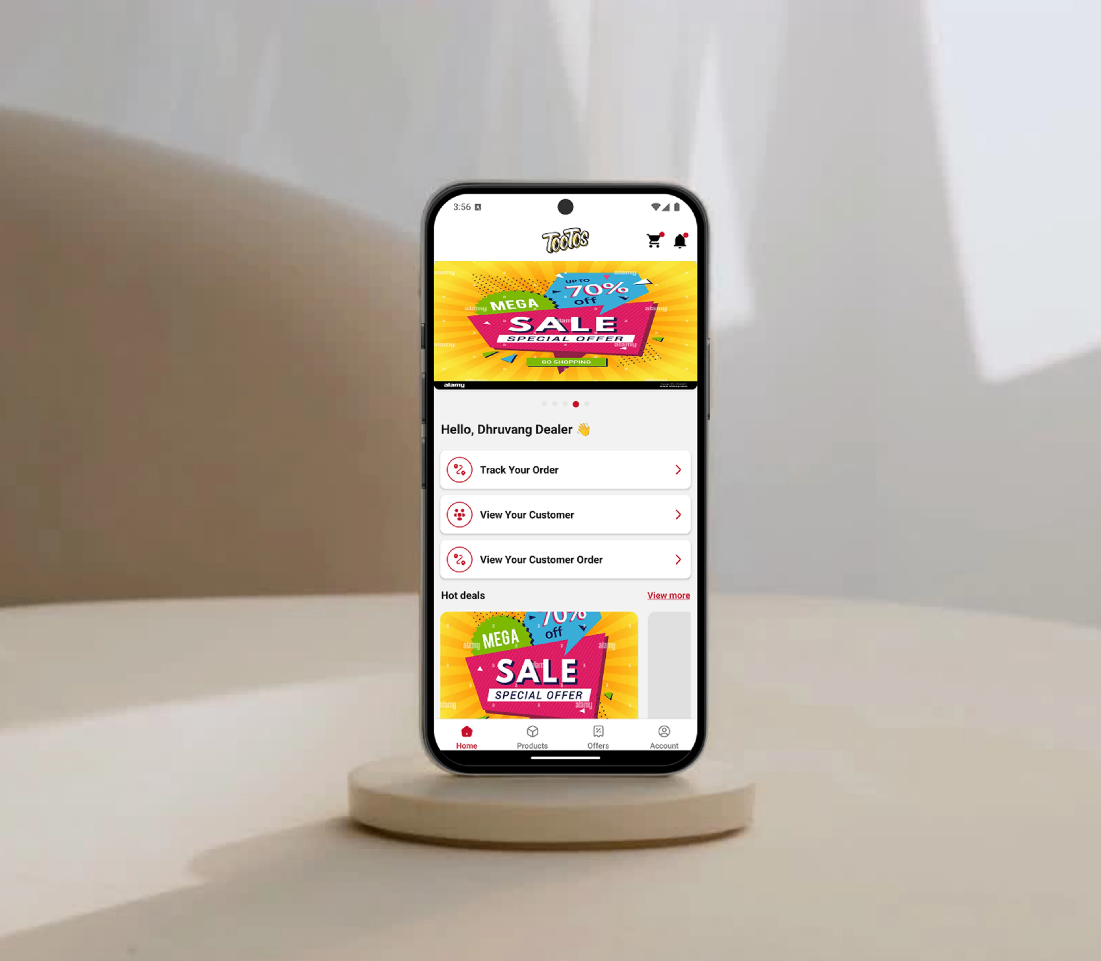 Project Preview